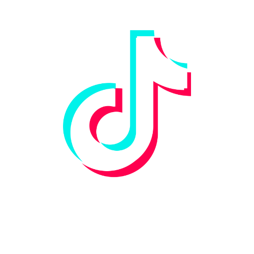 Tiktok icon